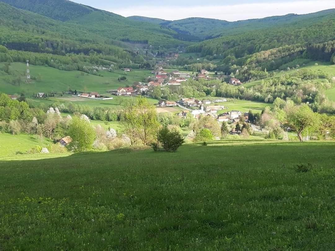 Pensjonat Dobarlica Dobirlau Zewnętrze zdjęcie