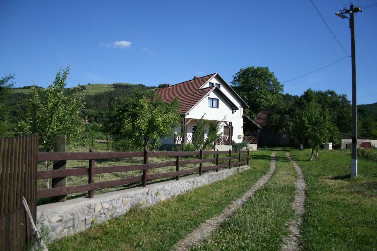 Pensjonat Dobarlica Dobirlau Zewnętrze zdjęcie
